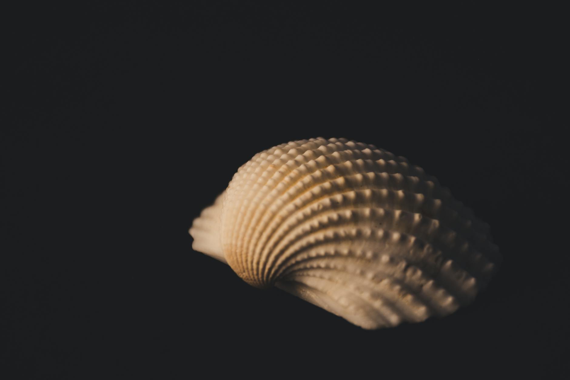 Mer Noire: attaques de drones font bondir l’assurance maritime