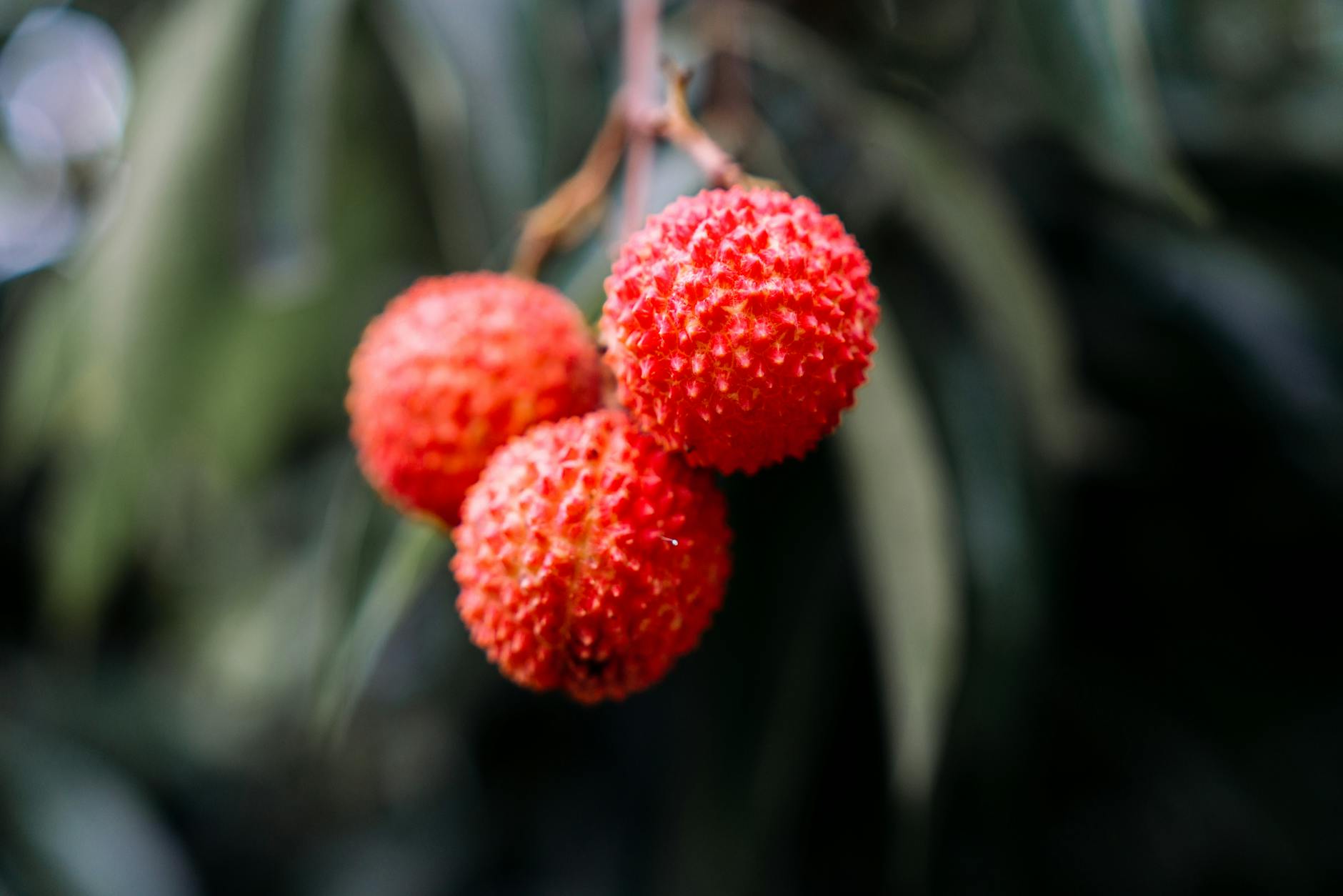 Mer Rouge: reprise partielle des transits, test pour l’économie mondiale